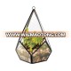 HX-8021F Wedding terrarium glass geometric