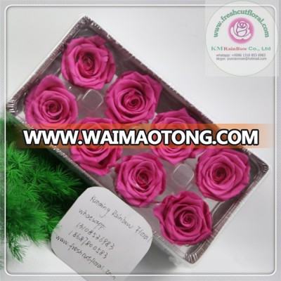 size 4-5 cm hot pink natural preserved rose head packed with 8 pieces per boxes from Chinese flower factory