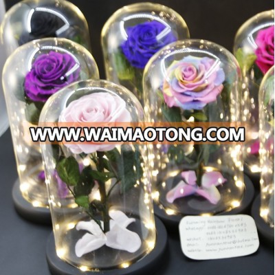 Preserved Rose With Ture Rose Stem in LED light glass dome Cheap Wholesale from Kunming Rainbow