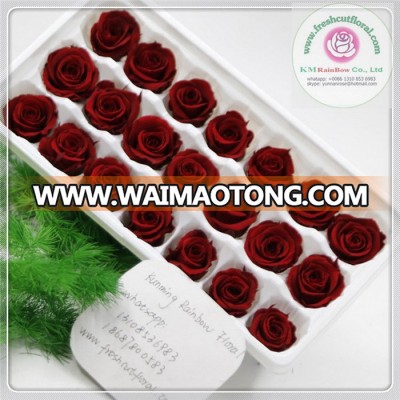 2-3cm Wine red natural preserved rose head packed with boxes from China