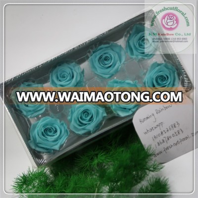 size 4-5 cm natural preserved rose head with tiffany blue color packed with boxes from Chinese flower factory