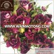 Wholesale Freeze Dried Rose Petals Adelaide For Dried Flowers