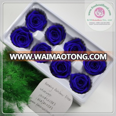 royal blue colors size 4-5 cm natural preserved rose head packed with boxes from Chinese flower factory