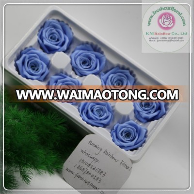 sky-blue colors size 4-5 cm lanvander purple natural preserved rose head packed with boxes from Chinese flower factory