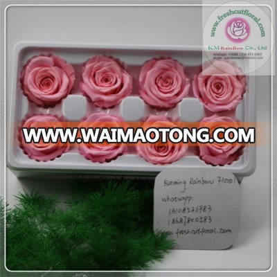 size 4-5 cm sweet pink natural preserved rose head packed with boxes from Chinese flower factory