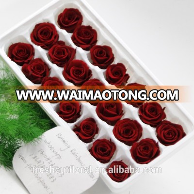 2-3 cm long lasting roses preserved flower wholesale from Kunming city