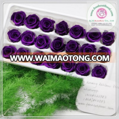 2-3cm dark purple natural preserved rose head packed with boxes from Yunnan Rainbow factory