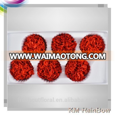 Red Flower Wholesale Preserved Carnations And Preserved Roses In China