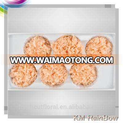 Wholesale Champagne Roses Preserved Flower Preserved Carnation In Waimaotong