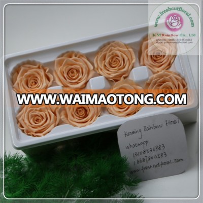 size 4-5 cm champine color natural preserved rose head packed with boxes from Chinese flower factory