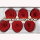 No Environmental pollution processed natural fresh rose 5-6cm head