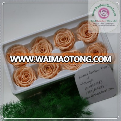 8 pieces/box champine size 4-5 cm lanvander purple natural preserved rose head packed with boxes from Chinese flower factory