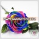 size 7-8 cm rainbow color natural preserved rose head packed with boxes from Chinese flower factory