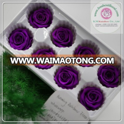 dark purple size 4-5 cm natural preserved rose head 8 pieces packed with boxes from Chinese flower factory