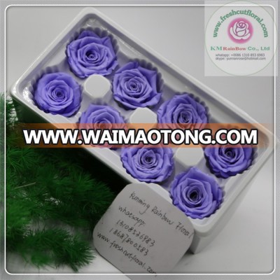 size 4-5 cm light purple natural preserved rose head 8 pieces per boxes from Chinese flower factory