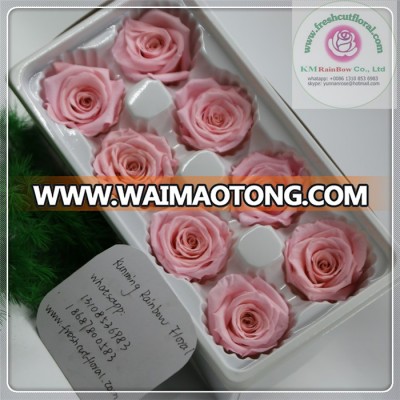 pink coloe size 4-5 cm natural preserved rose head packed with boxes from Chinese flower factory