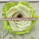 2018 rainbow event and home decorative preserved rose