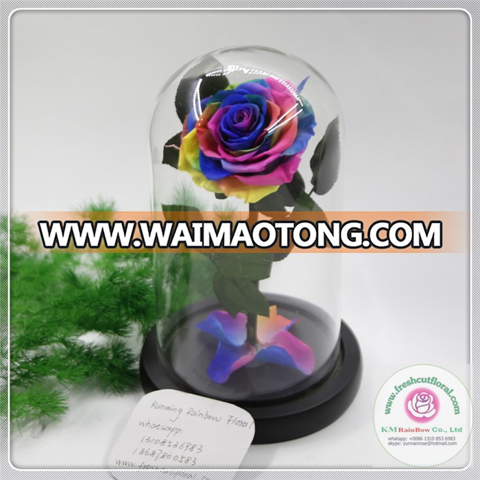 size 7-8 cm rainbow natural preserved rose with stems in glass dome D12*H21CM