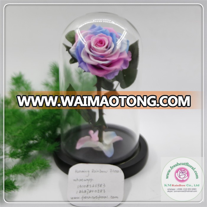 size 7-8 cm pink+white+purple natural preserved rose head packed with boxes from Chinese flower factory