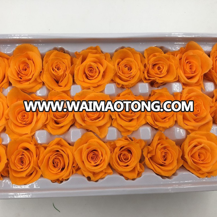 All Occasions best selling preservd rose head for souvenir