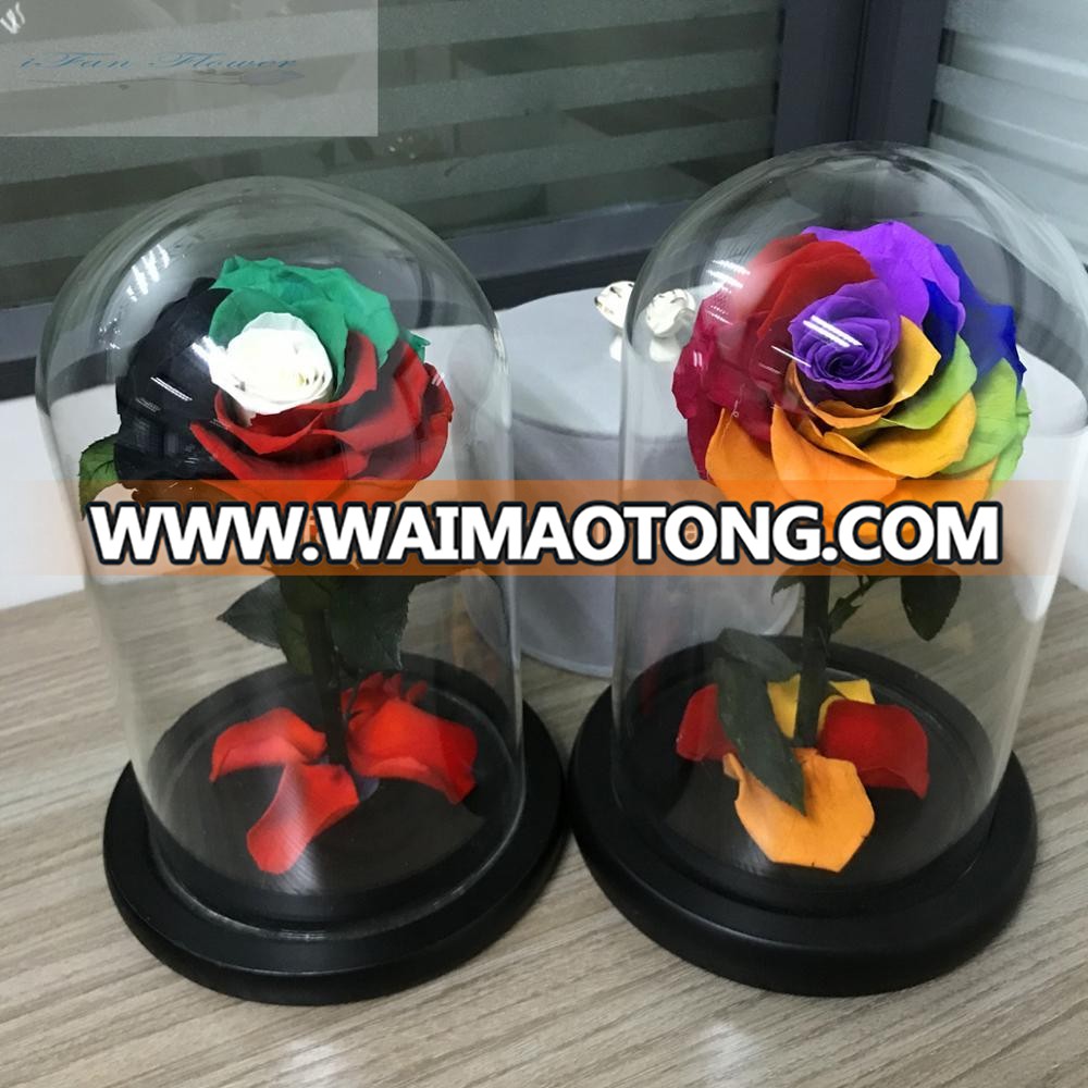 preserved rose rainbow in glass decoration christmas /valentine's day gift stabilized flowers