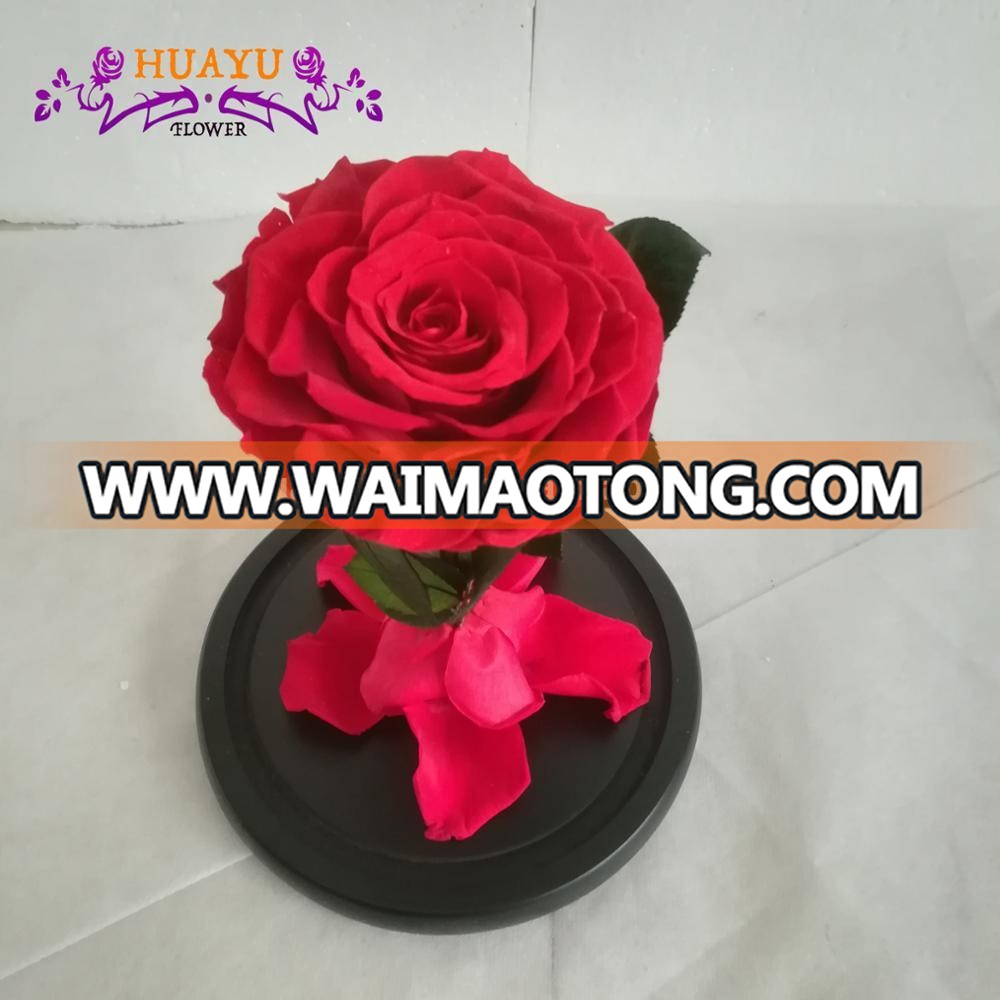 Room decoration real preserved forever roses in glass for wedding decoration